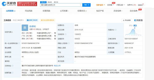 专业商务信息咨询 企业决策的智慧引擎
